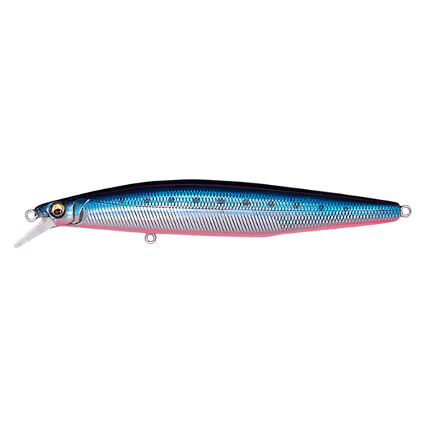 Megabass MARINE GANG Cookai 120F 120mm : 19g Floating LZ BLUE PINK IWASHI saltwater fishing lure