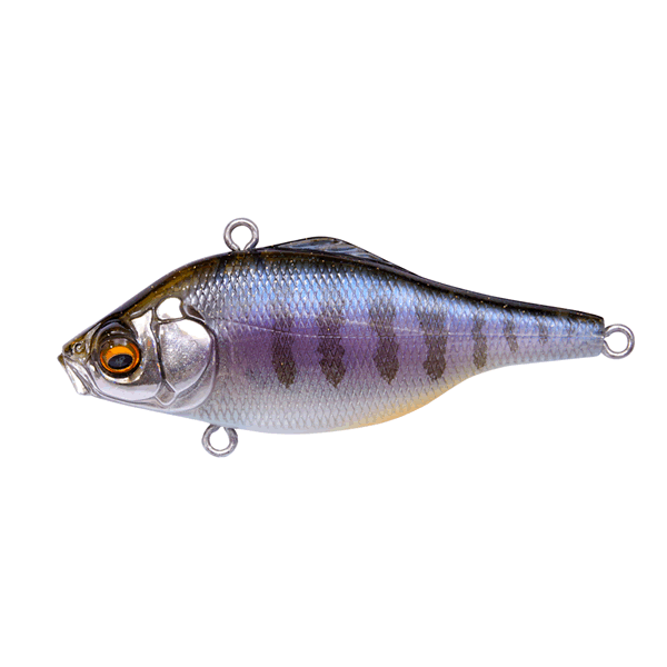 Megabass VIBRATION-X SMATRA (SILENT) 64.5mm SILENT(3/8oz.) GILLKKO