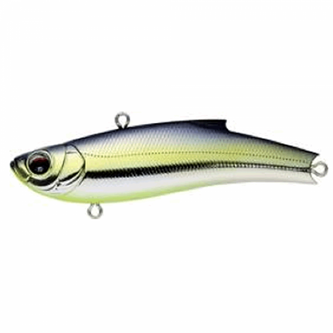 BASSDAY RANGE VIB 70TG 70mm 20.0g M-325 ELEGANT KATAKUCHI saltwater fishing lure