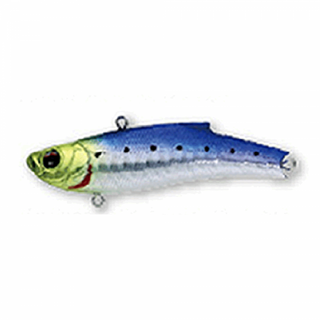 BASSDAY RANGE VIB 55TG 55mm 14.5g HH-322 HIGHT HOLO ELEGANT IWASHI saltwater fishing lure