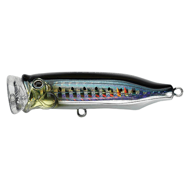TACKLE HOUSE CONTACT FEED POPPER 70SW 70mm : 15g SINKING #07 IWASHI