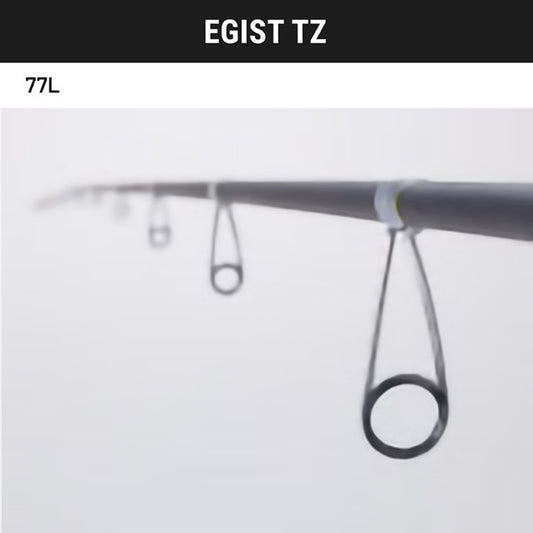 TailWalk EGIST TZ 77L Spinning