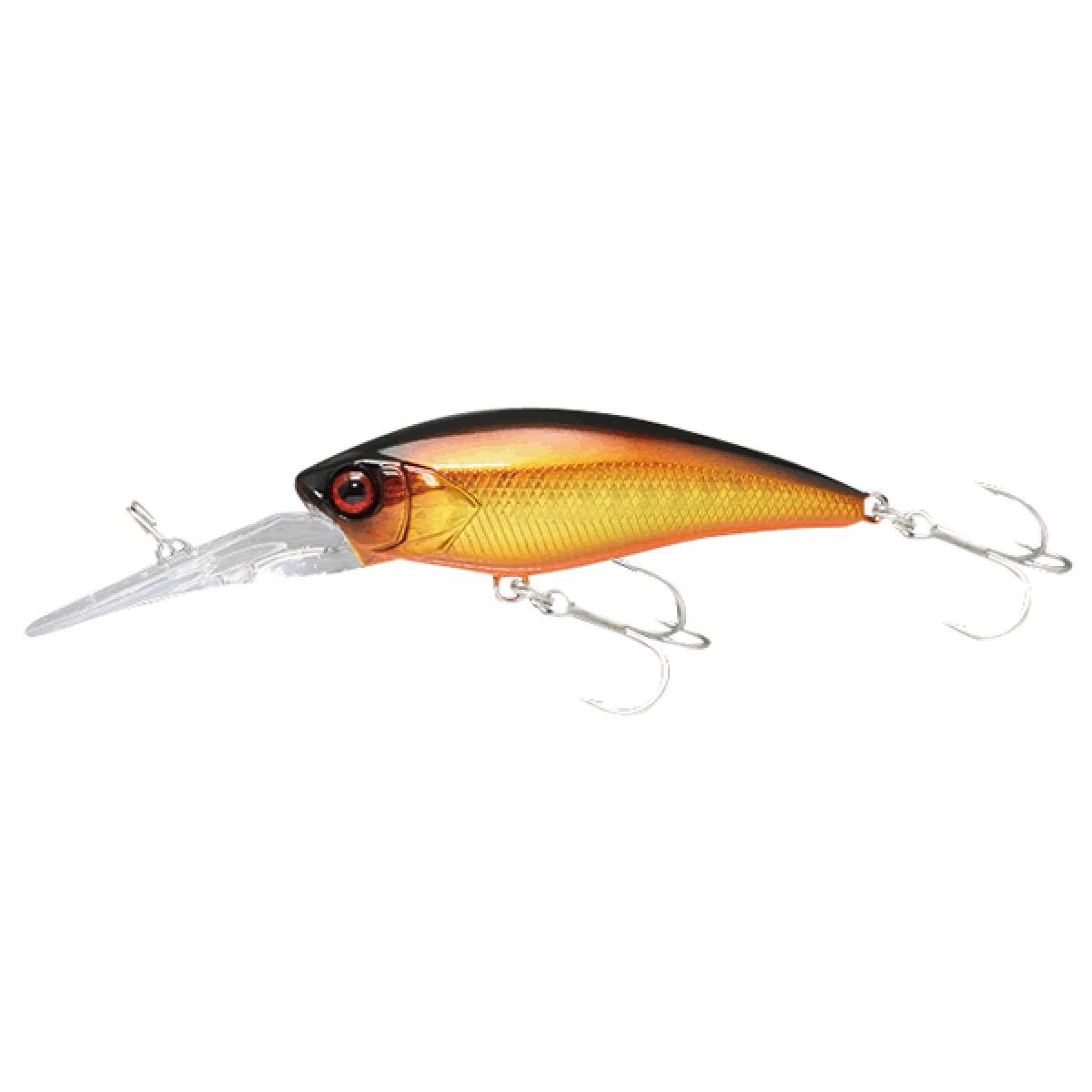 JACKALL D-BILL SHAD 55SR 55mm : 5.5g Floating DOUBLE CLUTCH KINKURO