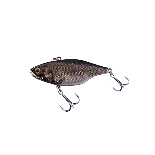 JACKALL TN70 FULL TUNGSTEN 70mm : 18.5g Sinking RT SCHOOL KOBUNA