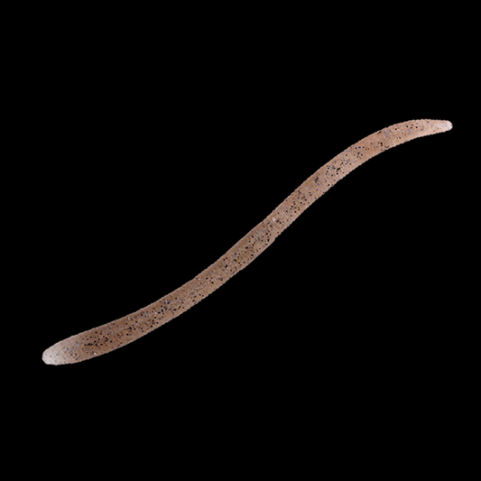 JACKALL FLICK SHAKE 3.8" (10 pcs/pack) TENAGA EBI