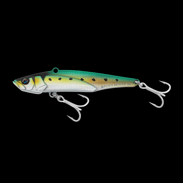 JACKALL CiAN METALVIB 80g 119mm : 80g Sinking IWASHI