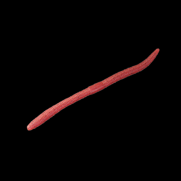 JACKALL FLICK SHAKE 2.8" (7 pcs/pack) TUCHI MIMIZU freshwater fishing lure