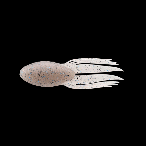 JACKALL KING DRIFT CRAW 5.7" (4 pcs/pack) Sinking SUNA ZARI