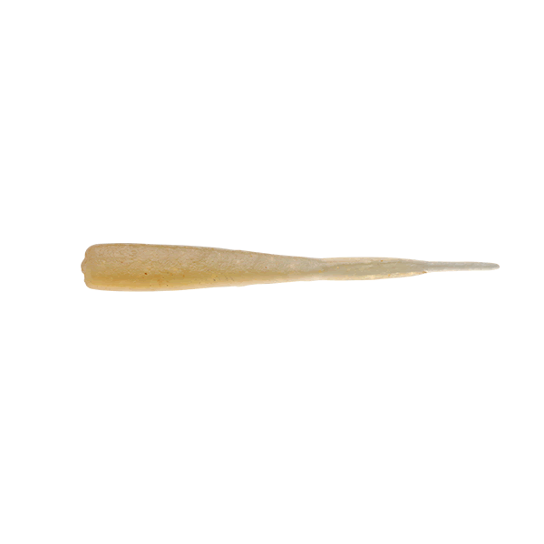 JACKALL PEKETAIL TIDEPEPPER 2" (10 pcs/pack) ISOME GLOW CRASH