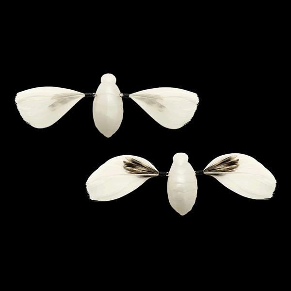 JACKALL NEED CICADA 35mm : 3.7g (2 pcs/pack) SUPER WHITE freshwater fishing lure