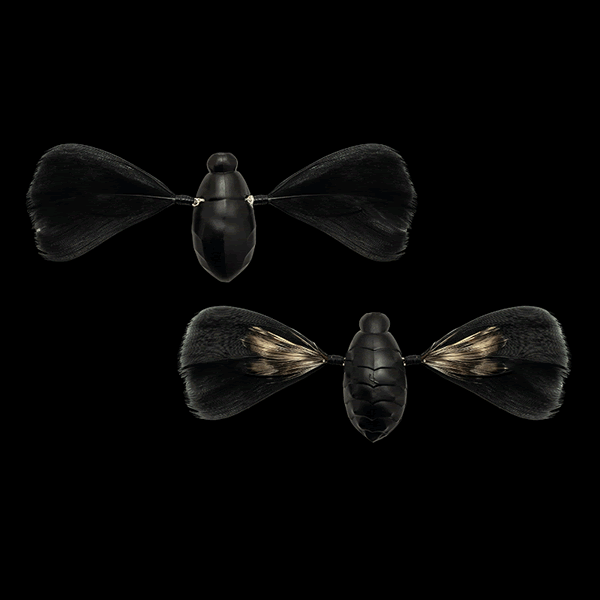 JACKALL NEED CICADA 35mm : 3.7g (2 pcs/pack) SUPER BLACK