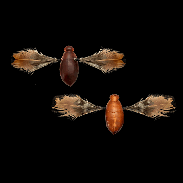 JACKALL NEED CICADA 35mm : 3.7g (2 pcs/pack) NOJIRI HARU ZEMI