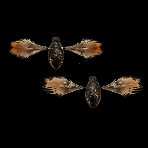 JACKALL NEED CICADA 35mm : 3.7g (2 pcs/pack) HIBARA BLACK