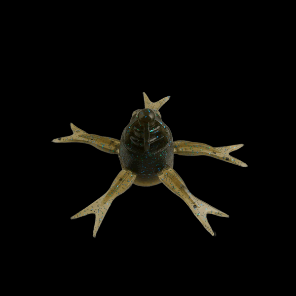 JACKALL JIMMY HENGE 50 50mm (5 pcs/pack) GRIPAN GOBY