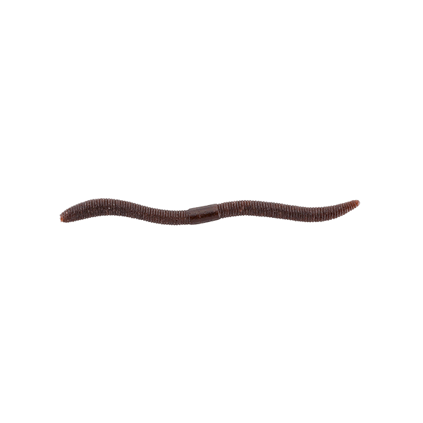 JACKALL FLICK SHAKE 500 4.8" (8 pcs/pack) SCUPPERNONG