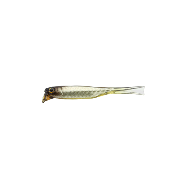 JACKALL DRIFTFRY ELASTOMER 2.5" Floating (5 pcs/pack) STAIN SECRET