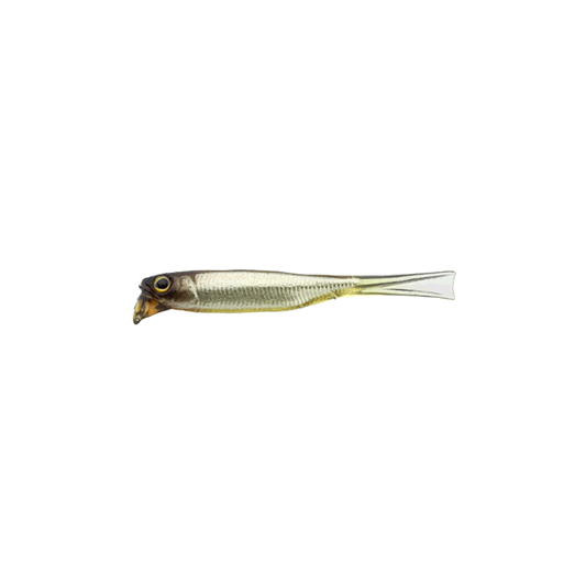 JACKALL DRIFTFRY ELASTOMER 2.5" Floating (5 pcs/pack) STAIN SECRET