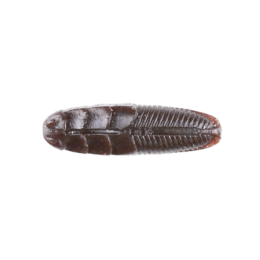 JACKALL JIMMY IMO 2" 6g (8 pcs/pack) SCUPPERNONG