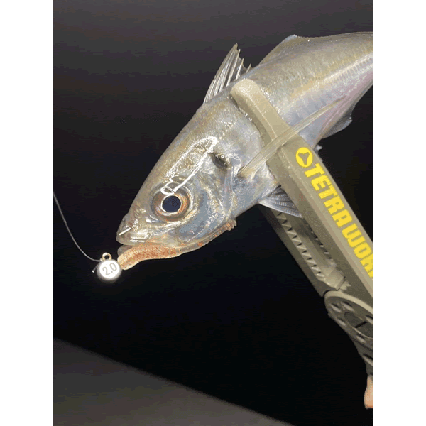 DUO TETRA WORKS SNIP HEAD TG SS : 1.5g (3 pcs/pack) - Britannic Trade