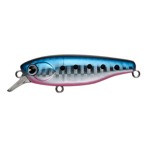 ima K-TA 58 SUSPEND 58mm : 8g Suspend KT58-009 MAKO IWASHI saltwater fishing lure