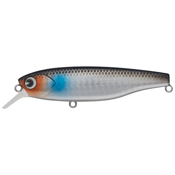 ima K-TA 77 SUSPEND 77mm : 12g Suspend KT77-018 BOLA MATTHI saltwater fishing lure