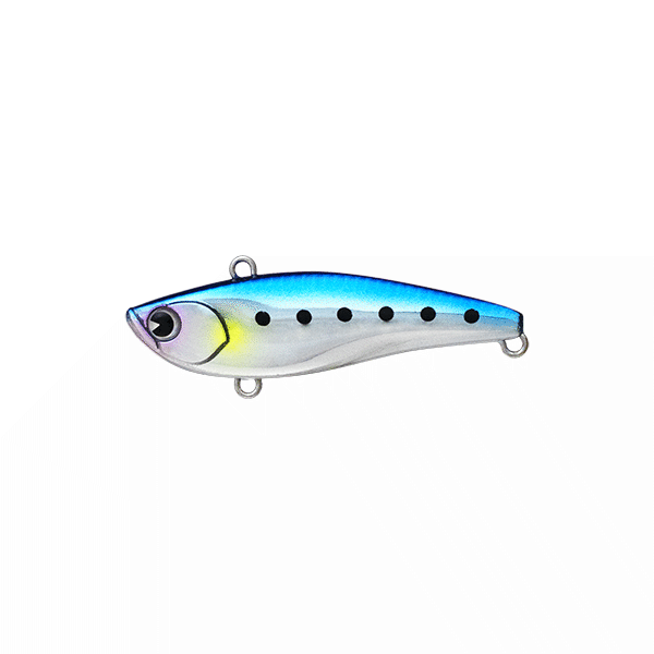 ima RAIKIRI 60 60mm : 11g Sinking RK60-012 PLATING IWASHI saltwater fishing lure