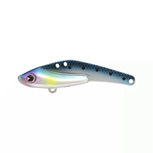 ima SCHNEIDER 18 68mm : 18g Sinking SD18-019 PLATING IWASHI saltwater fishing lure
