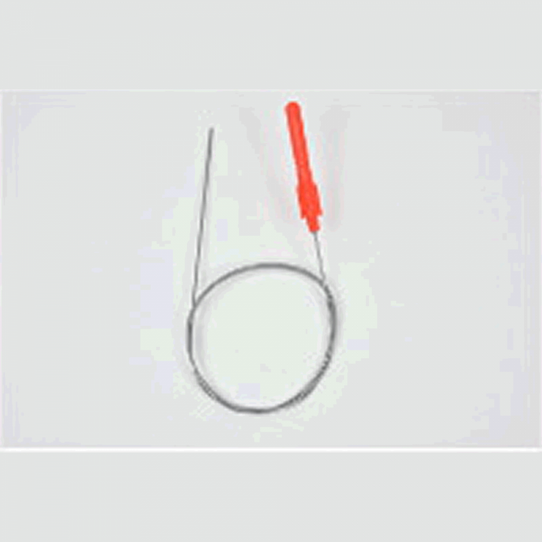 belmont SHAPE MEMORY ALLOY SHINKEIJIME φ0.8 x 80cm MP-222 FISH NERVE TIGHTENING fishing accessory — photo 2