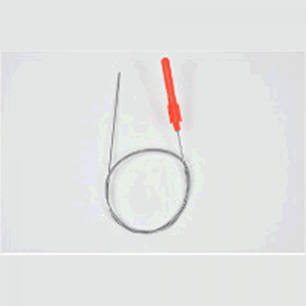 belmont SHAPE MEMORY ALLOY SHINKEIJIME φ1.5 x 80cm MP-231 FISH NERVE TIGHTENING