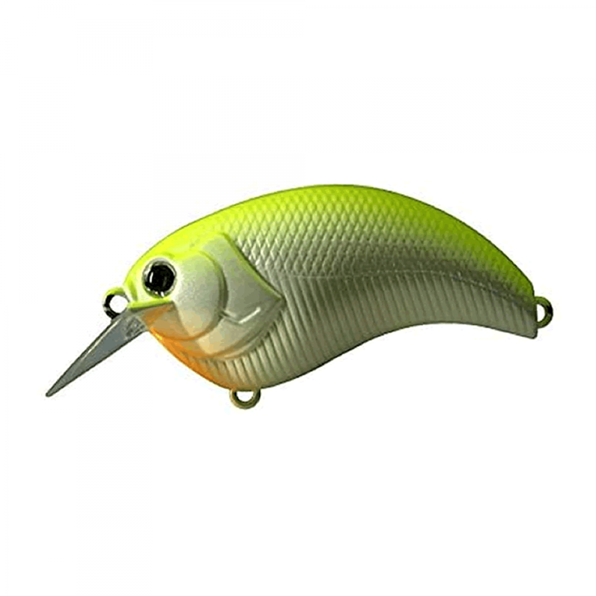 deps EVOKE 1.2 55mm : 11g #04 CHART BACK