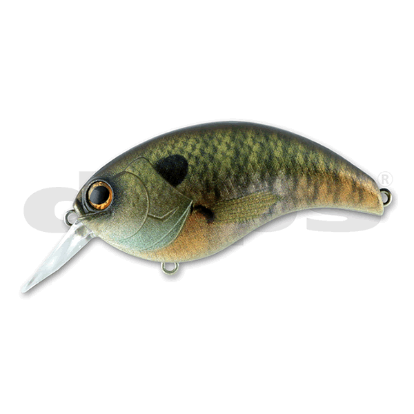 deps EVOKE 3.0 80mm : 28g