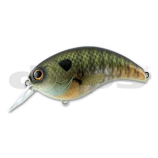 deps EVOKE 3.0 80mm : 28g