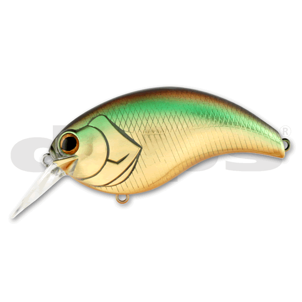deps EVOKE 3.0 80mm : 28g #06 GOLDEN SHINER