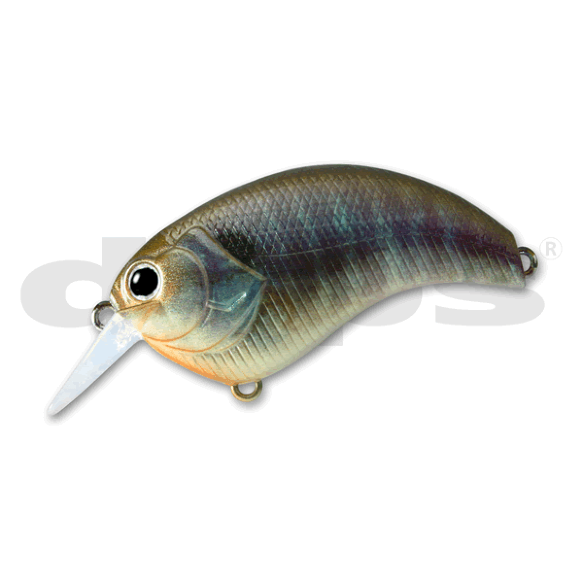 deps EVOKE 1.8 55mm : 11.5g #10 REAL BLUE GIRU - Britannic Trade