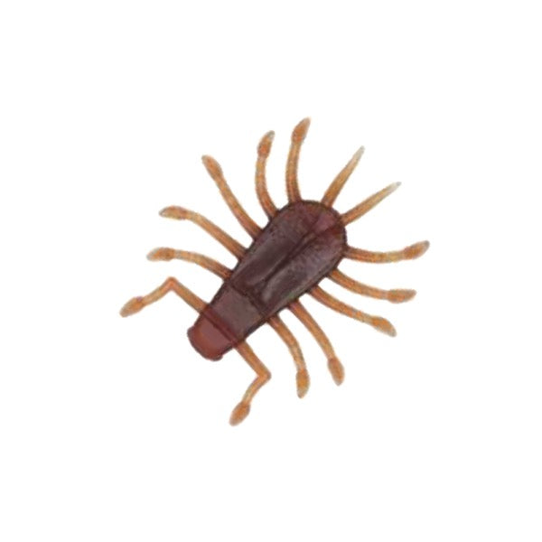 deps WIGGLEBUG 1.2" (6 pcs/pack) #28 Scuppernong