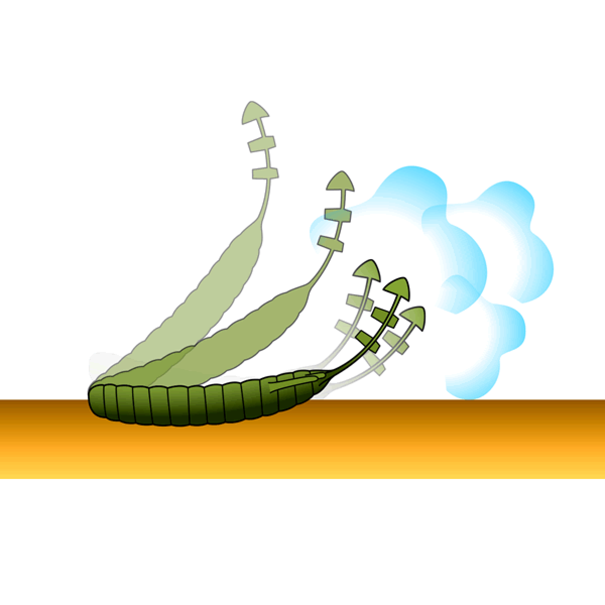 deps BULL FLAT 4.8" (4 pcs/pack) #28 SCUPPERNONG