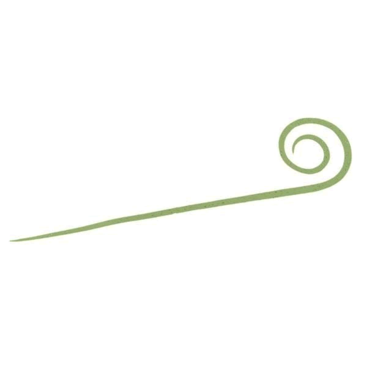 DAIWA KOHGA SILICONE NECKTIE NAKAI TUNE STC SLIM STRAIGHT CURLY SLIM (3 pcs/pack) KAISO GREEN