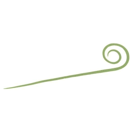 DAIWA KOHGA SILICONE NECKTIE NAKAI TUNE STC SLIM STRAIGHT CURLY SLIM (3 pcs/pack) KAISO GREEN