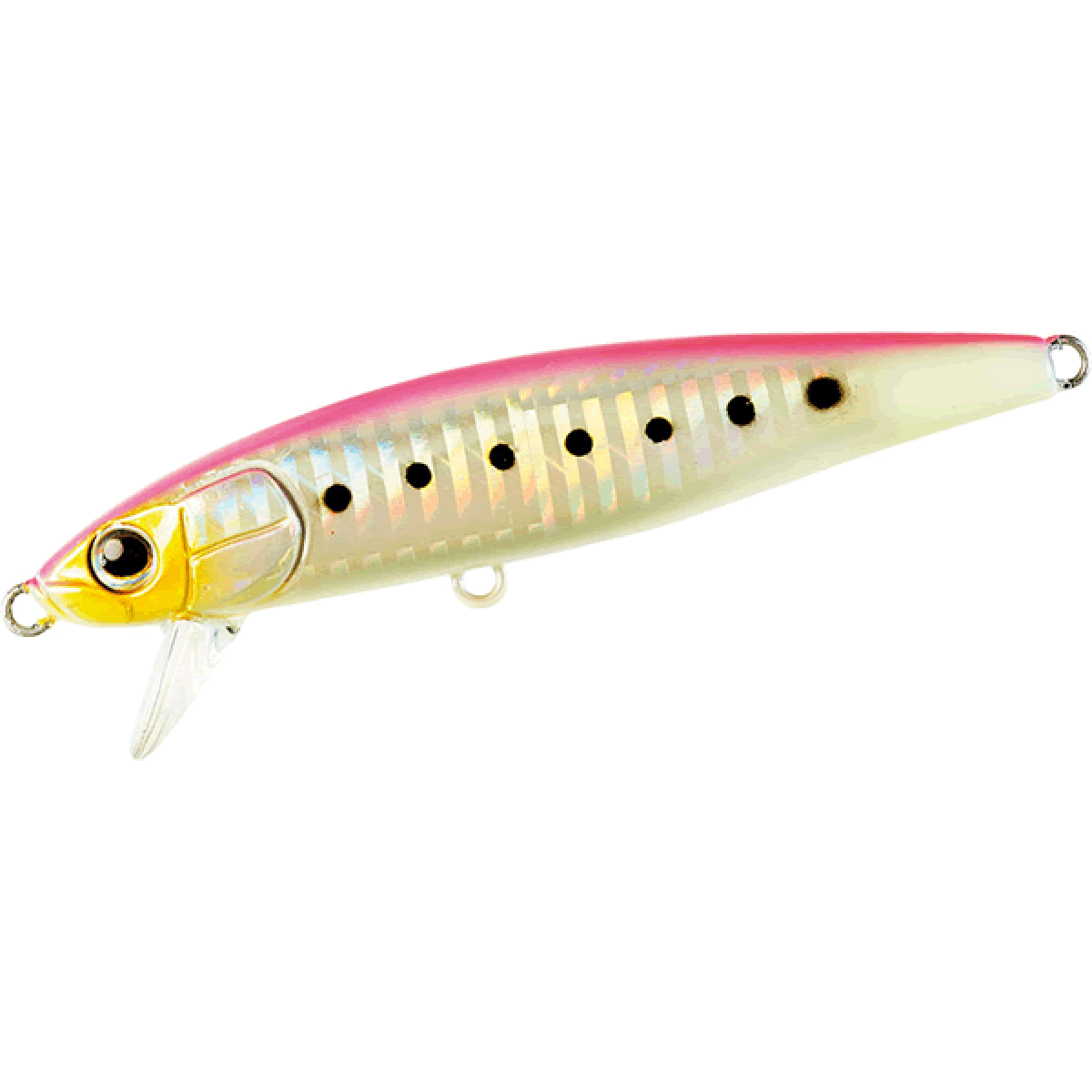 DAIWA SAGOSEE Z95HS 95mm : 28g Heavy Sinking PINK GLOW IWASHI