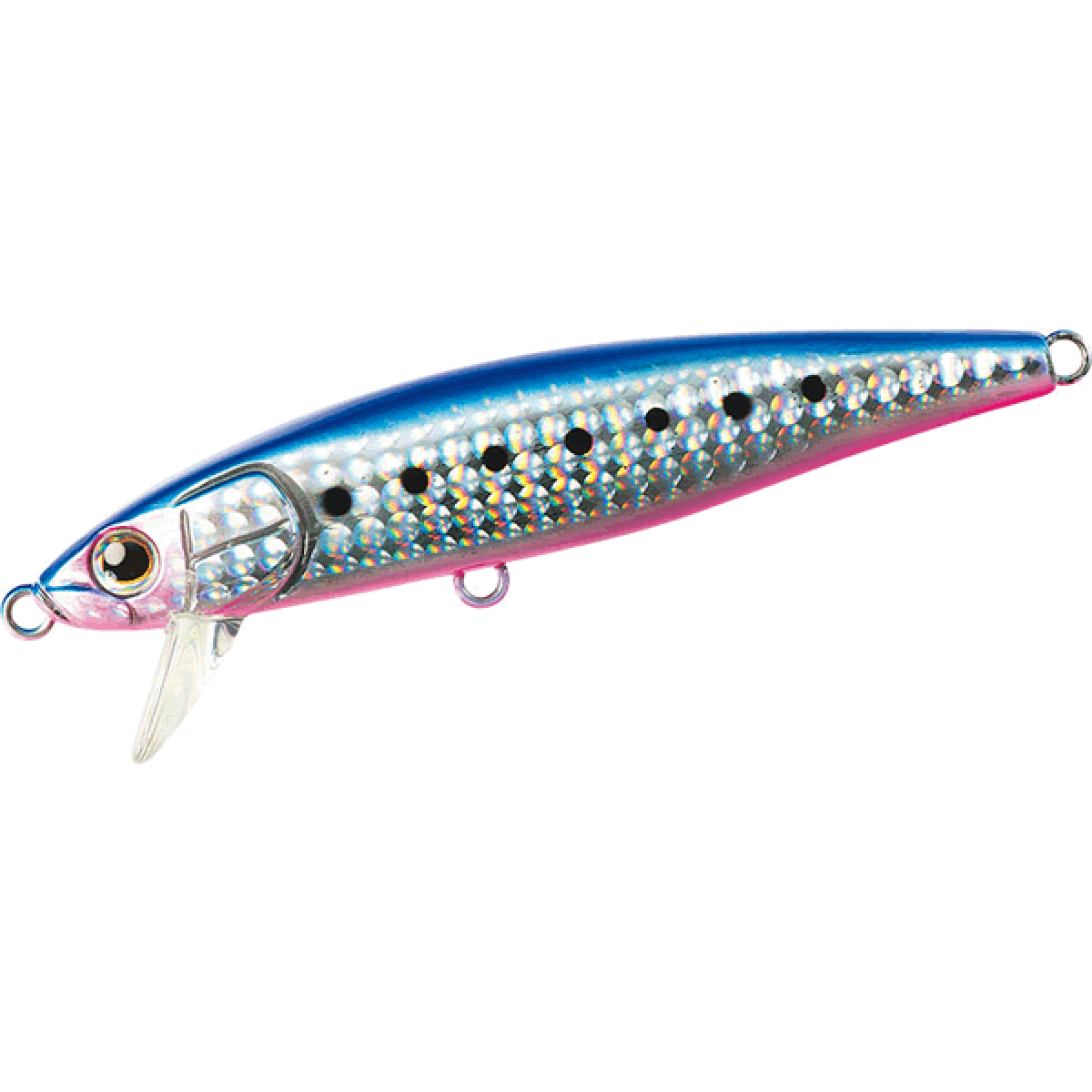 DAIWA SAGOSEE Z95HS 95mm : 28g Heavy Sinking BLUPIN IWASHI