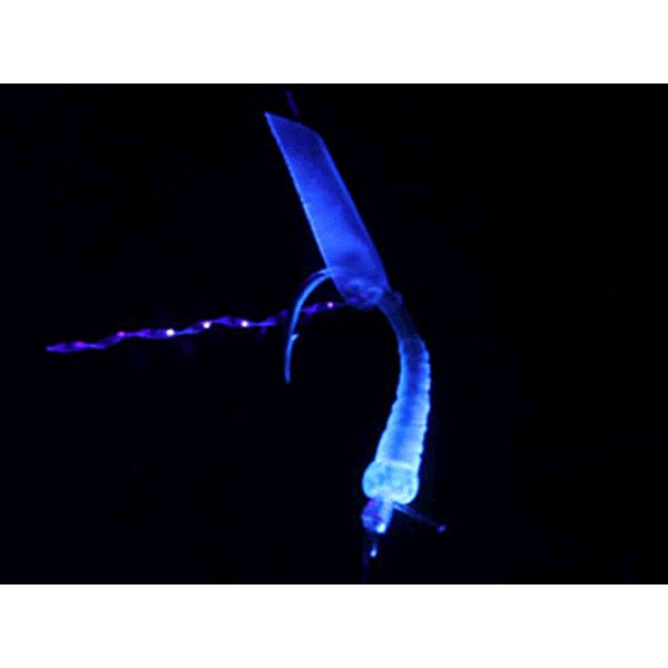DAIWA KAITEKI SYOKUNIN SABIKI SET SOFT AMAEBI SHITAKAGOSHIKI 120cm : 8-2.0 UV