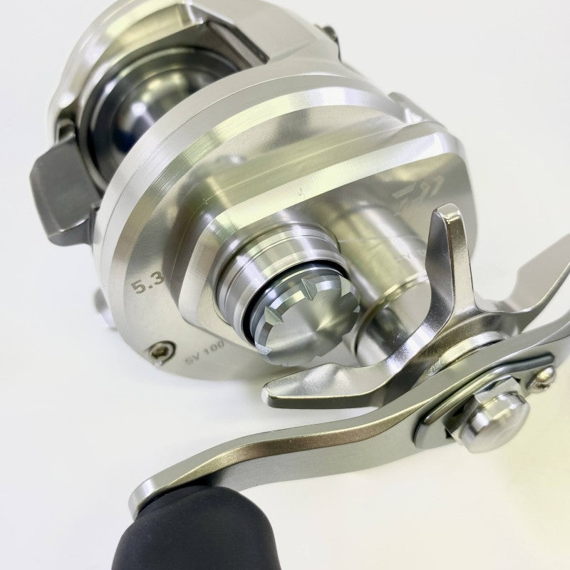 DAIWA 26 RYOGA SV 100P