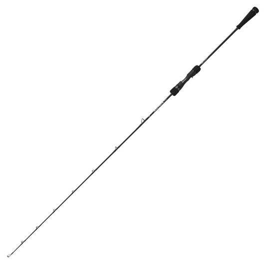 DAIWA SALTIGA J REVLIMIT 54B-4 (Casting)