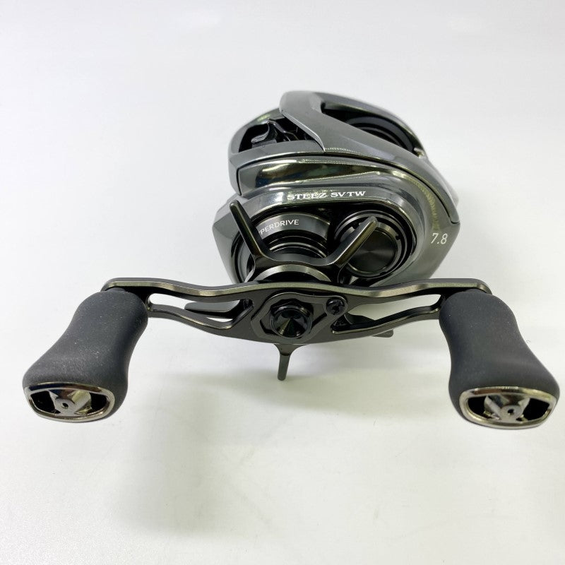 DAIWA 24 STEEZ SV TW 100HL