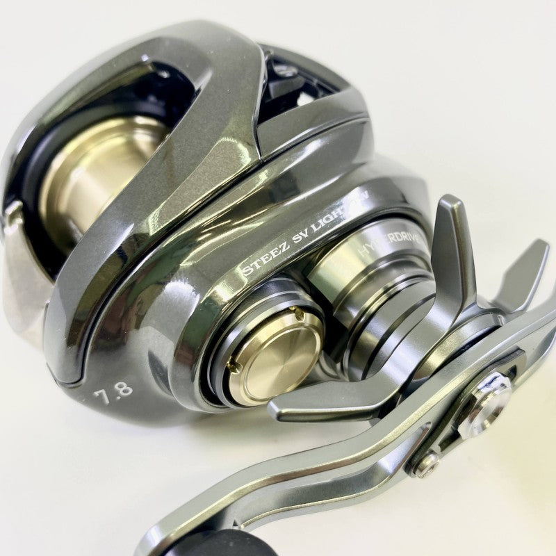 DAIWA 26 STEEZ SV LIGHT TW 100H