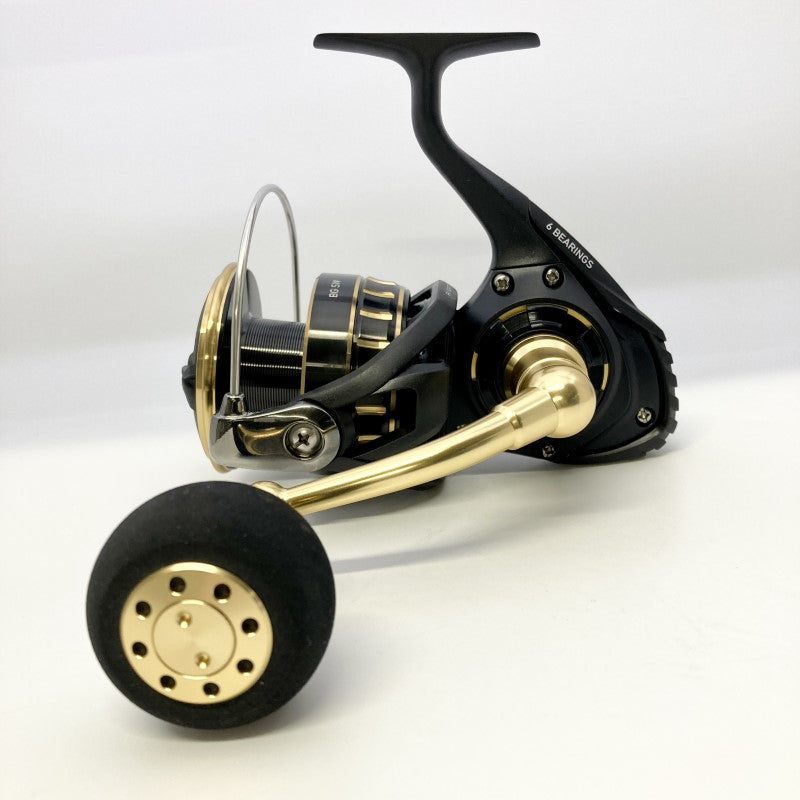 DAIWA BG SW 23 BG SW 10000-H