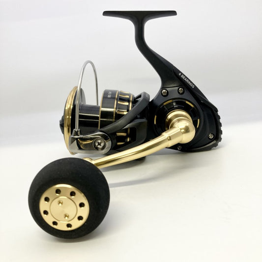 DAIWA BG SW 23 BG SW 10000-H