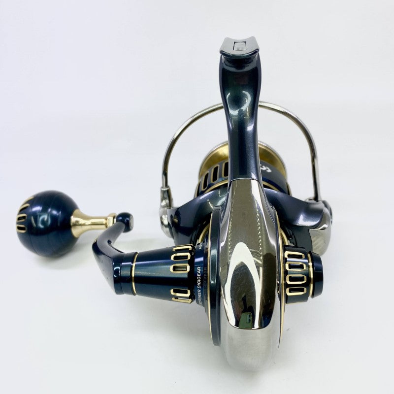 DAIWA SALTIGA 25 SALTIGA 8000-P