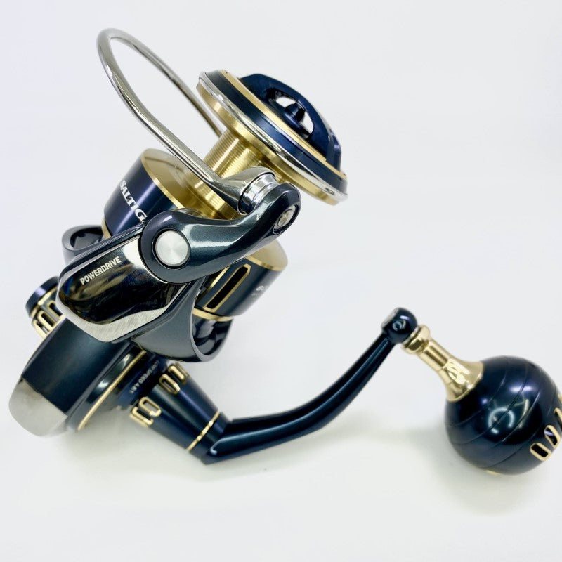DAIWA SALTIGA 25 SALTIGA 8000-P