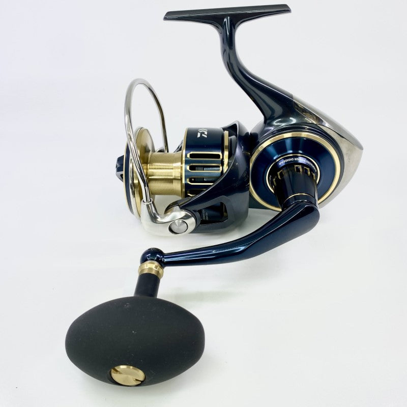 DAIWA SALTIGA 25 SALTIGA 8000-H